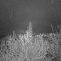 Webcam_20191212-180000