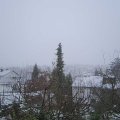 Webcam_20191213-123000