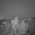 Webcam_20191213-180000