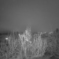 Webcam_20191213-183000