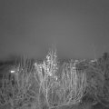 Webcam_20191213-190000