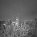 Webcam_20191213-193000