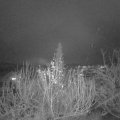 Webcam_20191213-200000