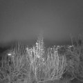 Webcam_20191213-213000