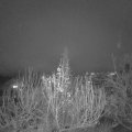 Webcam_20191213-220000