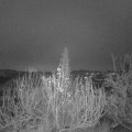 Webcam_20191214-073000