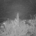 Webcam_20191214-180000