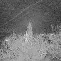 Webcam_20191214-193000