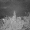 Webcam_20191214-203000