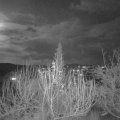 Webcam_20191214-210000