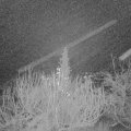Webcam_20191216-050000
