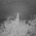 Webcam_20191216-063000