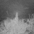 Webcam_20191216-070000