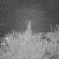 Webcam_20191216-180000