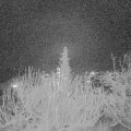 Webcam_20191216-200000