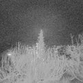 Webcam_20191216-210000