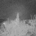 Webcam_20191216-213000