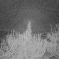 Webcam_20191217-050000