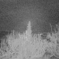 Webcam_20191217-053000