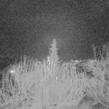 Webcam_20191217-190000