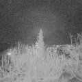 Webcam_20191217-193000