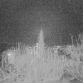 Webcam_20191217-200000