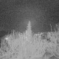 Webcam_20191217-210000