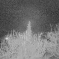 Webcam_20191217-220000