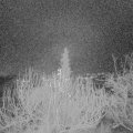 Webcam_20191218-053000
