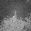 Webcam_20191219-050000