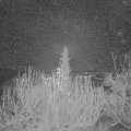 Webcam_20191219-053000