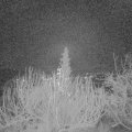 Webcam_20191219-060000