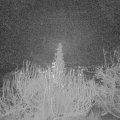 Webcam_20191219-063000