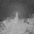 Webcam_20191219-210000