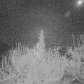 Webcam_20191220-050000