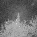 Webcam_20191220-053000