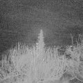 Webcam_20191221-060000