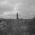 Webcam_20191221-080000