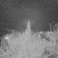 Webcam_20191221-180000