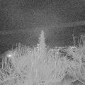Webcam_20191221-183000