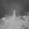Webcam_20191221-193000