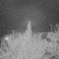 Webcam_20191221-210000