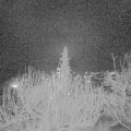 Webcam_20191221-220000
