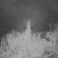 Webcam_20191222-060000