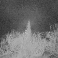 Webcam_20191222-063000