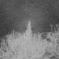 Webcam_20191222-070000