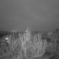 Webcam_20191222-170000