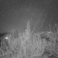 Webcam_20191222-173000