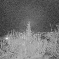 Webcam_20191222-180000