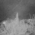 Webcam_20191222-190000